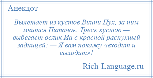 
    Вылетает из кустов Винни Пух, за ним мчится Пятачок. Треск кустов — выбегает ослик Иа с красной распухшей задницей: — Я вам покажу «входит и выходит»!