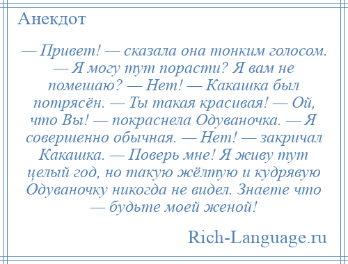 
    — Привет! — сказала она тонким голосом. — Я могу тут порасти? Я вам не помешаю? — Нет! — Какашка был потрясён. — Ты такая красивая! — Ой, что Вы! — покраснела Одуваночка. — Я совершенно обычная. — Нет! — закричал Какашка. — Поверь мне! Я живу тут целый год, но такую жёлтую и кудрявую Одуваночку никогда не видел. Знаете что — будьте моей женой!