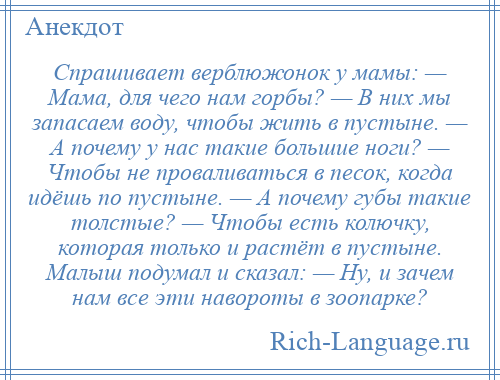 
    Спрашивает верблюжонок у мамы: — Мама, для чего нам горбы? — В них мы запасаем воду, чтобы жить в пустыне. — А почему у нас такие большие ноги? — Чтобы не проваливаться в песок, когда идёшь по пустыне. — А почему губы такие толстые? — Чтобы есть колючку, которая только и растёт в пустыне. Малыш подумал и сказал: — Ну, и зачем нам все эти навороты в зоопарке?