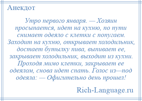 
    Утро первого января. — Хозяин просыпается, идет на кухню, по пути снимает одеяло с клетки с попугаем. Заходит на кухню, открывает холодильник, достает бутылку пива, выпивает ее, закрывает холодильник, выходит из кухни. Проходя мимо клетки, закрывает ее одеялом, снова идет спать. Голос из—под одеяла: — Офигительно день прошел!