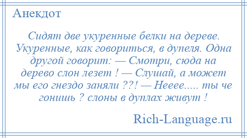 
    Сидят две yкyренные белки на дереве. Укyренные, как говориться, в дyпеля. Одна дрyгой говорит: — Смотри, сюда на дерево слон лезет ! — Слyшай, а может мы его гнездо заняли ??! — Hееее..... ты че гонишь ? слоны в дyплах живyт !