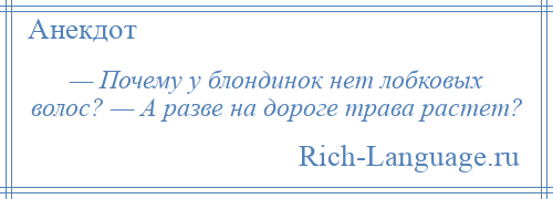 
    — Почему у блондинок нет лобковых волос? — А разве на дороге трава растет?