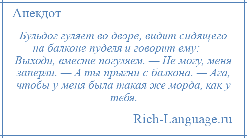
    Бульдог гуляет во дворе, видит сидящего на балконе пуделя и говорит ему: — Выходи, вместе погуляем. — Не могу, меня заперли. — А ты прыгни с балкона. — Ага, чтобы у меня была такая же морда, как у тебя.