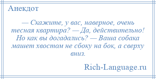 
    — Скажите, у вас, наверное, очень тесная квартира? — Да, действительно! Но как вы догадались? — Ваша собака машет хвостом не сбоку на бок, а сверху вниз.