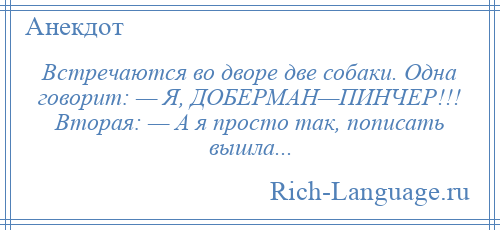 
    Встречаются во дворе две собаки. Одна говорит: — Я, ДОБЕРМАН—ПИНЧЕР!!! Вторая: — А я просто так, пописать вышла...