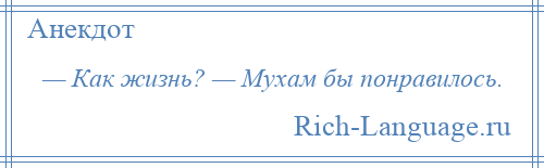 
    — Как жизнь? — Мухам бы понравилось.