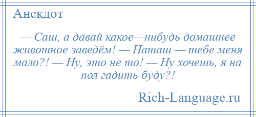 
    — Саш, а давай какое—нибудь домашнее животное заведём! — Наташ — тебе меня мало?! — Ну, это не то! — Ну хочешь, я на пол гадить буду?!