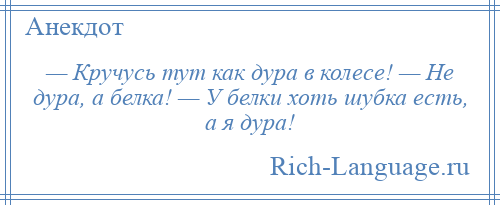 
    — Кручусь тут как дура в колесе! — Не дура, а белка! — У белки хоть шубка есть, а я дура!