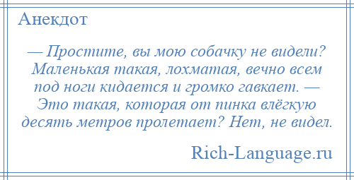 
    — Простите, вы мою собачку не видели? Маленькая такая, лохматая, вечно всем под ноги кидается и громко гавкает. — Это такая, которая от пинка влёгкую десять метров пролетает? Нет, не видел.