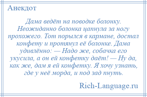 
    Дама ведёт на поводке болонку. Неожиданно болонка цапнула за ногу прохожего. Тот порылся в кармане, достал конфету и протянул её болонке. Дама удивлённо: — Надо же, собачка его укусила, а он ей конфетку даёт! — Ну да, как же, дам я ей конфетку. Я хочу узнать, где у неё морда, и под зад пнуть.