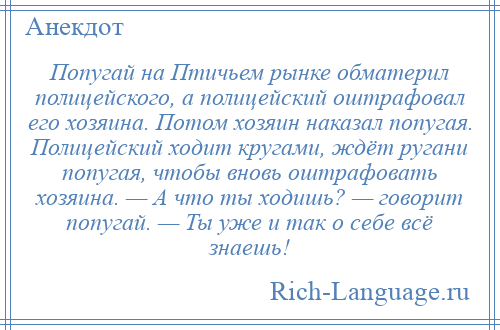 
    Попугай на Птичьем рынке обматерил полицейского, а полицейский оштрафовал его хозяина. Потом хозяин наказал попугая. Полицейский ходит кругами, ждёт ругани попугая, чтобы вновь оштрафовать хозяина. — А что ты ходишь? — говорит попугай. — Ты уже и так о себе всё знаешь!