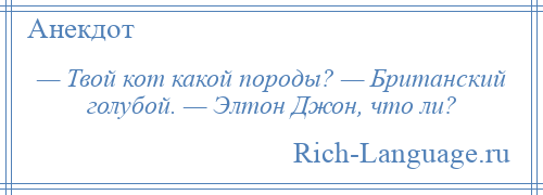 
    — Твой кот какой породы? — Британский голубой. — Элтон Джон, что ли?