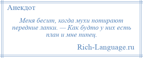 
    Меня бесит, когда мухи потирают передние лапки. — Как будто у них есть план и мне пипец.