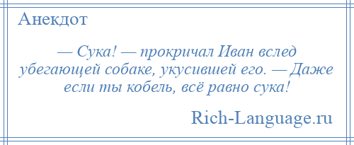 
    — Сука! — прокричал Иван вслед убегающей собаке, укусившей его. — Даже если ты кобель, всё равно сука!