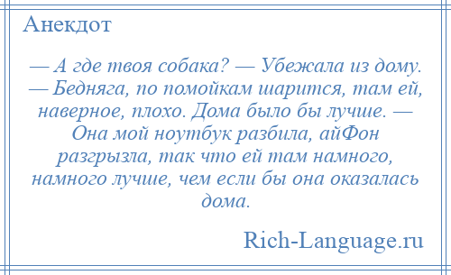 
    — А где твоя собака? — Убежала из дому. — Бедняга, по помойкам шарится, там ей, наверное, плохо. Дома было бы лучше. — Она мой ноутбук разбила, айФон разгрызла, так что ей там намного, намного лучше, чем если бы она оказалась дома.