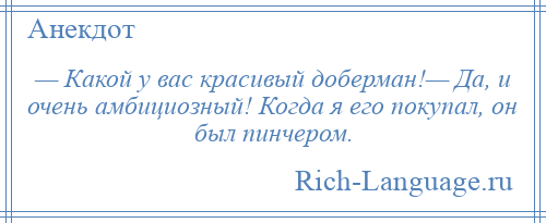 
    — Какой у вас красивый доберман!— Да, и очень амбициозный! Когда я его покупал, он был пинчером.