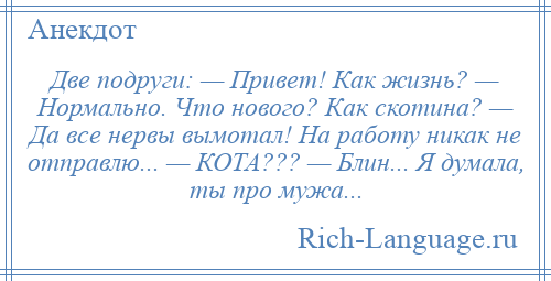 
    Две подруги: — Привет! Как жизнь? — Нормально. Что нового? Как скотина? — Да все нервы вымотал! На работу никак не отправлю... — КОТА??? — Блин... Я думала, ты про мужа...