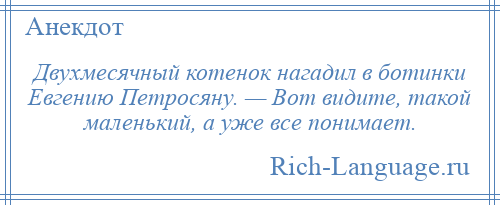 
    Двухмесячный котенок нагадил в ботинки Евгению Петросяну. — Вот видите, такой маленький, а уже все понимает.