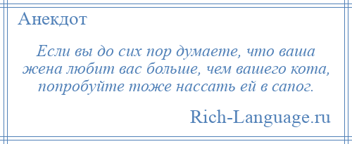 
    Если вы до сих пор думаете, что ваша жена любит вас больше, чем вашего кота, попробуйте тоже нассать ей в сапог.