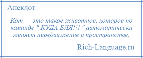 
    Кот — это такое животное, которое по команде КУДА БЛЯ!!! автоматически меняет передвижение в пространстве.