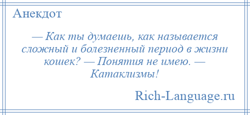 
    — Как ты думаешь, как называется сложный и болезненный период в жизни кошек? — Понятия не имею. — Катаклизмы!