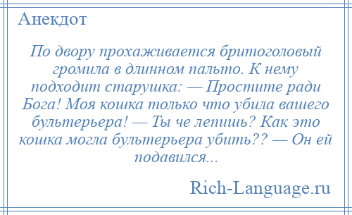 
    По двору прохаживается бритоголовый громила в длинном пальто. К нему подходит старушка: — Простите ради Бога! Моя кошка только что убила вашего бультерьера! — Ты че лепишь? Как это кошка могла бультерьера убить?? — Он ей подавился...