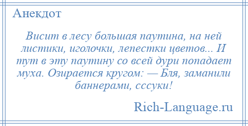 
    Висит в лесу большая паутина, на ней листики, иголочки, лепестки цветов... И тут в эту паутину со всей дури попадает муха. Озирается кругом: — Бля, заманили баннерами, сссуки!