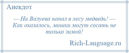 
    — На Валуева напал в лесу медведь! — Как оказалось, мишки могут сосать не только зимой!