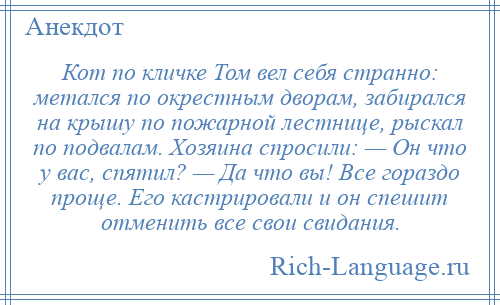 
    Кот по кличке Том вел себя странно: метался по окрестным дворам, забирался на крышу по пожарной лестнице, рыскал по подвалам. Хозяина спросили: — Он что у вас, спятил? — Да что вы! Все гораздо проще. Его кастрировали и он спешит отменить все свои свидания.