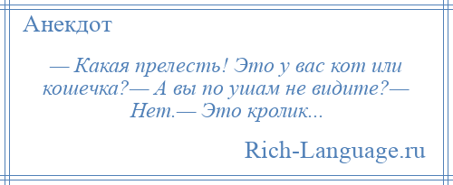 
    — Какая прелесть! Это у вас кот или кошечка?— А вы по ушам не видите?— Нет.— Это кролик...