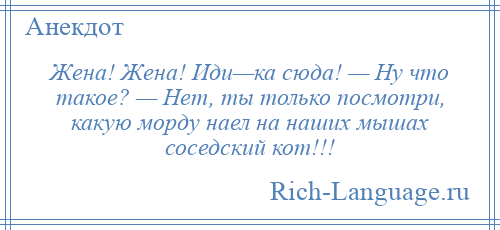 
    Жена! Жена! Иди—ка сюда! — Ну что такое? — Нет, ты только посмотри, какую морду наел на наших мышах соседский кот!!!