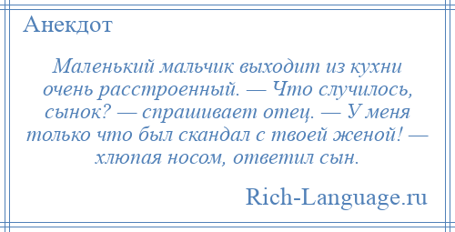 
    Маленький мальчик выходит из кухни очень расстроенный. — Что случилось, сынок? — спрашивает отец. — У меня только что был скандал с твоей женой! — хлюпая носом, ответил сын.