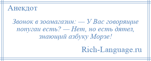 
    Звонок в зоомагазин: — У Вас говорящие попугаи есть? — Нет, но есть дятел, знающий азбуку Морзе!