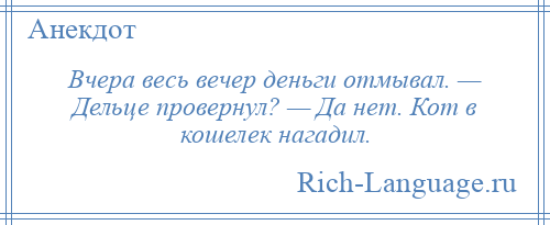 
    Вчера весь вечер деньги отмывал. — Дельце провернул? — Да нет. Кот в кошелек нагадил.