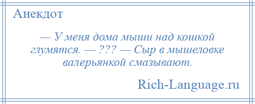 
    — У меня дома мыши над кошкой глумятся. — ??? — Сыр в мышеловке валерьянкой смазывают.