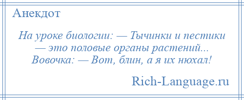 
    На уроке биологии: — Тычинки и пестики — это половые органы растений... Вовочка: — Вот, блин, а я их нюхал!