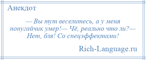 
    — Вы тут веселитесь, а у меня попугайчик умер!— Чё, реально что ли?— Нет, бля! Со спецэффектами!