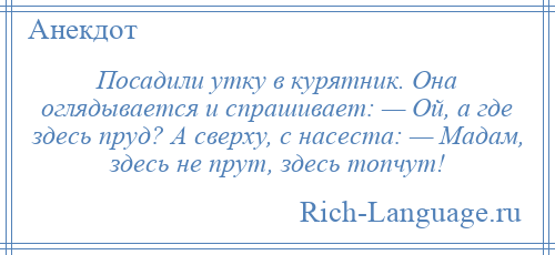 
    Посадили утку в курятник. Она оглядывается и спрашивает: — Ой, а где здесь пруд? А сверху, с насеста: — Мадам, здесь не прут, здесь топчут!