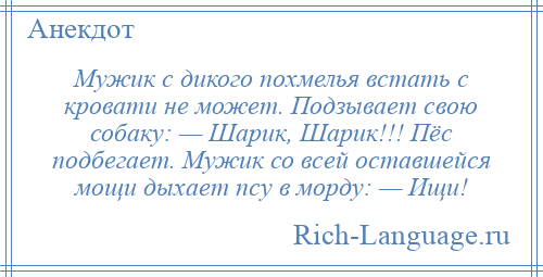 
    Мужик с дикого похмелья встать с кровати не может. Подзывает свою собаку: — Шарик, Шарик!!! Пёс подбегает. Мужик со всей оставшейся мощи дыхает псу в морду: — Ищи!