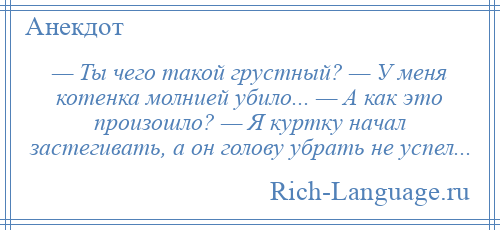 
    — Ты чего такой грустный? — У меня котенка молнией убило... — А как это произошло? — Я куртку начал застегивать, а он голову убрать не успел...