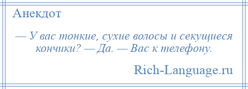 
    — У вас тонкие, сухие волосы и секущиеся кончики? — Да. — Вас к телефону.