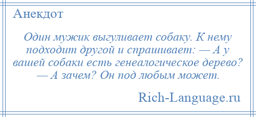 
    Один мужик выгуливает собаку. К нему подходит другой и спрашивает: — А у вашей собаки есть генеалогическое дерево? — А зачем? Он под любым может.