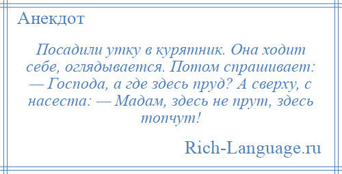 
    Посадили утку в курятник. Она ходит себе, оглядывается. Потом спрашивает: — Господа, а где здесь пруд? А сверху, с насеста: — Мадам, здесь не прут, здесь топчут!