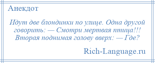 
    Идут две блондинки по улице. Одна другой говорить: — Смотри мертвая птица!!! Вторая поднимая голову вверх: — Где?
