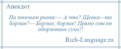 
    На птичьем рынке:— А что? Щенки—то борзые?— Борзые, борзые! Прямо совсем оборзевшие суки!!