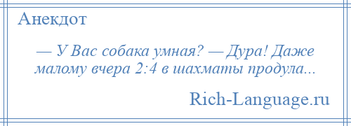 
    — У Вас собака умная? — Дура! Даже малому вчера 2:4 в шахматы продула...