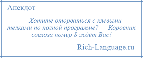 
    — Хотите оторваться с клёвыми тёлками по полной программе? — Коровник совхоза номер 8 ждёт Вас!