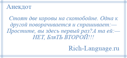 
    Стоят две коровы на скотобойне. Одна к другой поворачивается и спрашивает:— Простите, вы здесь первый раз?А та ей:— НЕТ, БляТЬ ВТОРОЙ!!!