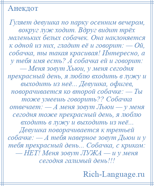 
    Гуляет девушка по парку осенним вечером, вокруг луж ходит. Вдруг видит трёх маленьких белых собачек. Она наклоняется к одной из них, гладит её и говорит: — Ой, собачка, ты такая красивая! Интересно, а у тебя имя есть? А собачка ей и говорит: — Меня зовут Хьюи, у меня сегодня прекрасный день, я люблю входить в лужу и выходить из неё... Девушка, офигев, поворачивается ко второй собачке: — Ты тоже умеешь говорить?? Собачка отвечает: — А меня зовут Льюи — у меня сегодня тоже прекрасный день, я люблю входить в лужу и выходить из неё... Девушка поворачивается к третьей собачке: — А тебя наверное зовут Дьюи и у тебя прекрасный день... Собачка, с криком: — НЕТ! Меня зовут ЛУЖА — и у меня сегодня галимый день!!!