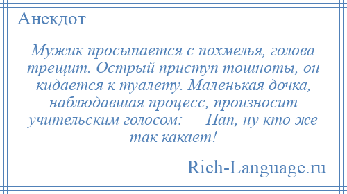 
    Мужик просыпается с похмелья, голова трещит. Острый приступ тошноты, он кидается к туалету. Маленькая дочка, наблюдавшая процесс, произносит учительским голосом: — Пап, ну кто же так какает!